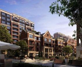 狮山最新爆料消息查询,揭秘神秘项目背后的惊人真相！  第2张